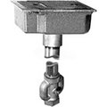 Zurn Zurn Ground Hydrant, 2" x 2" Z1365-2X2-PB